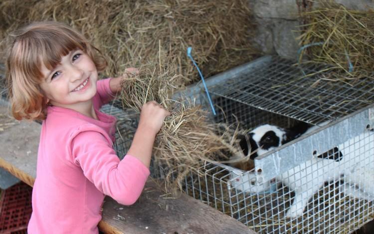 Ferme Pedagogique " L'Bout D'Chemin" Villa Genevreuille Eksteriør bilde
