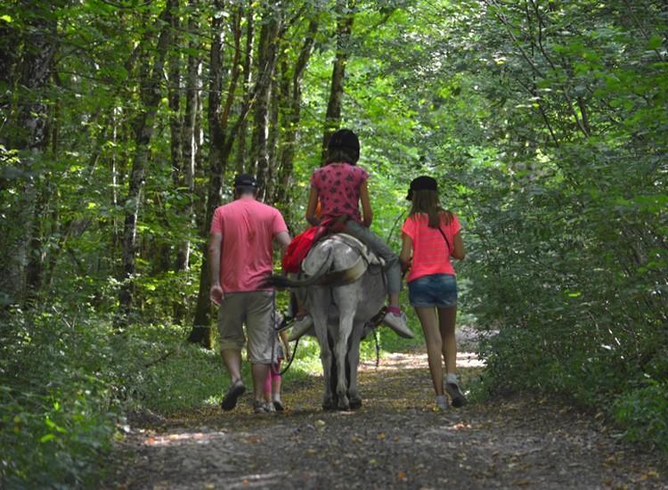 Ferme Pedagogique " L'Bout D'Chemin" Villa Genevreuille Eksteriør bilde