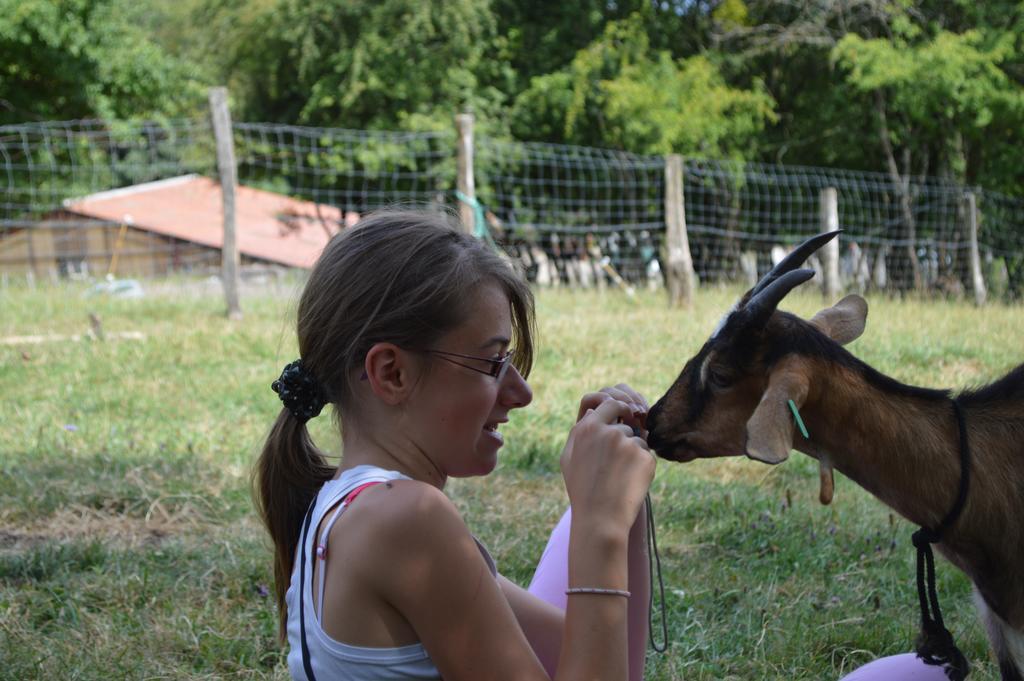 Ferme Pedagogique " L'Bout D'Chemin" Villa Genevreuille Eksteriør bilde